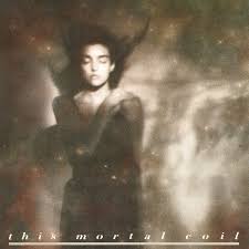 This Mortal Coil It'll End In Tears