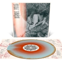 Author & Punisher Nocturnal Birding