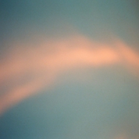 Anenon Tongue -coloured-