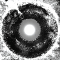 Bastards Of Fate Suck The Light Out