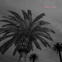 Actual Wolf Faded Days