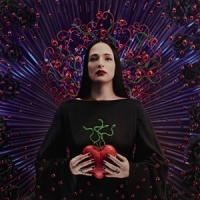 Silly Boy Blue Eternal Lover