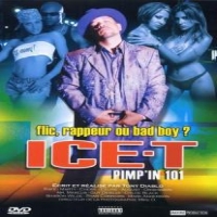 Ice-t Pimp'in 101