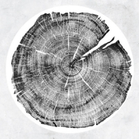 Montgomery, Roy M  Darkmotif Dancehall