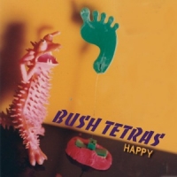 Bush Tetras Happy