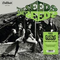 Seeds The Seeds