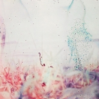 Pluralone To Be One With You