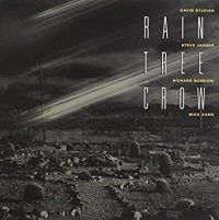 Rain Tree Crow Rain Tree Crow