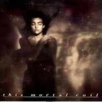 This Mortal Coil It'll End In Tears