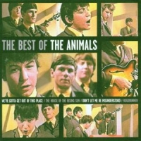 Animals Best Of