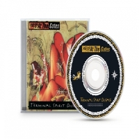 At The Gates Terminal Spirit Disease