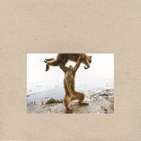 Shellac Dude Incredible