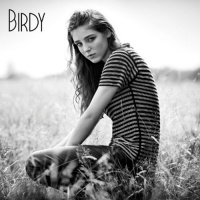 Birdy Fire Within