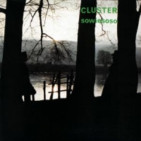 Cluster Sowiesoso