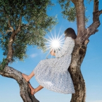 Wilder, Eaves Little Miss Sunshine