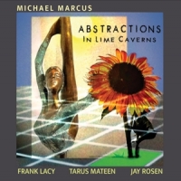 Michael Marcus Trio Abstractions In Lime Caverns