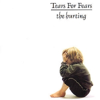 Tears For Fears The Hurting