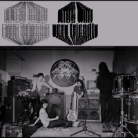 Aids Wolf Very Friendly