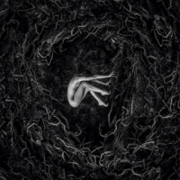 Fvnerals Let The Earth Be Silent