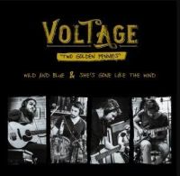 Voltage Two Golden Pennies