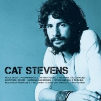 Stevens, Cat Icon
