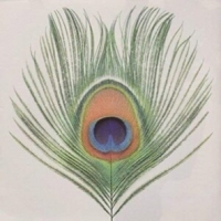 Xtc Apple Venus Vol. 1