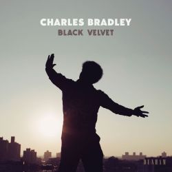 Bradley, Charles Black Velvet