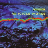 Icicle Works Best Of
