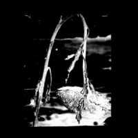 Pink Reason Cleaning The Mirror