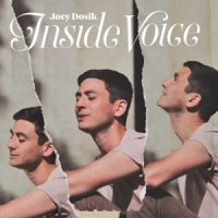 Dosik, Joey Inside Voice