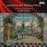Haydn, J. Unexpected Encounters