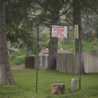 Creeping Pink Mirror Woods