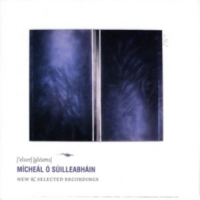 Micheal O Suilleabhain Elver Gleams  New & Selected Record