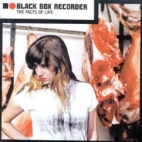Black Box Recorder The Facts Of Life