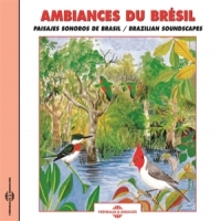 Sons De La Nature Ambiances Du Bresil. Paysages Sonor