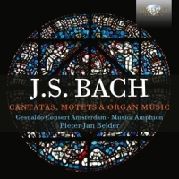 Belder, Pieter-jan Bach In Context: Cantatas, Motets & Organ Music