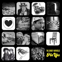 Dandy Warhols Pin Ups