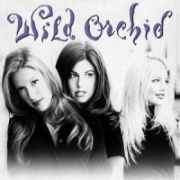 Wild Orchid Wild Orchid