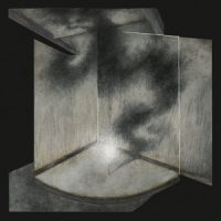 Dead Void Volatile Forms