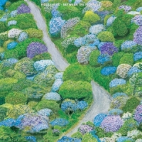 Fiddlehead Between The Richness (violet)