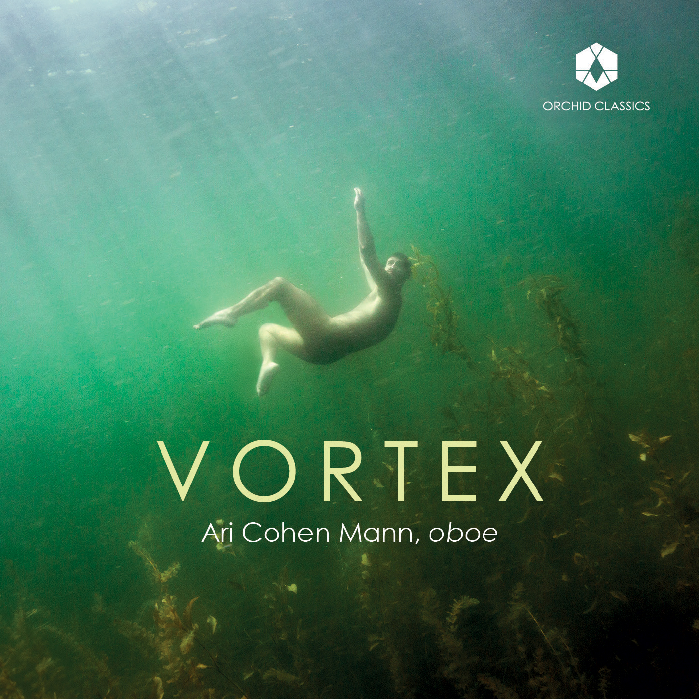 Ari Cohen Mann Benjamin Smith Vortex