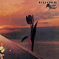 Pretty Things Parachute