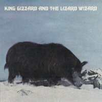 King Gizzard & The Lizard Polygondwanaland