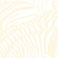 Beach House Teen Dream