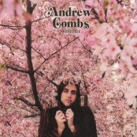 Combs, Andrew Worried Man