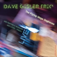 Dave Gisler Trio The Flying Mega Doghouse (live)