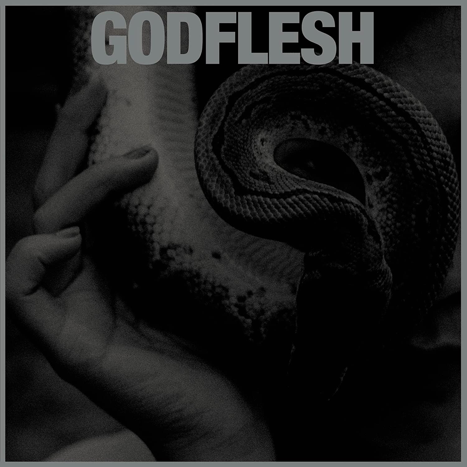 Godflesh Purge
