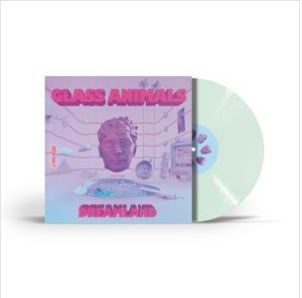 Glass Animals Dreamland  Real Life Edition