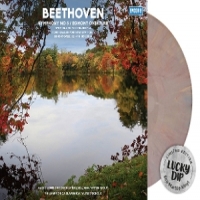 Radio Symphony Orchestra Ljubljana Beethoven  Symphony No 5, Egmont Ove