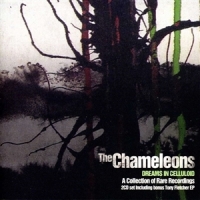 Chameleons Dreams In Celluloid